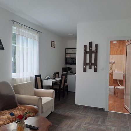 Vila Mozart - Apartments & Studios Κοπαόνικ Εξωτερικό φωτογραφία
