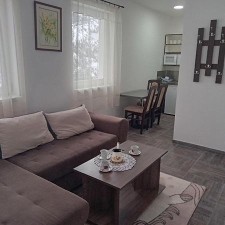 Vila Mozart - Apartments & Studios Κοπαόνικ Εξωτερικό φωτογραφία